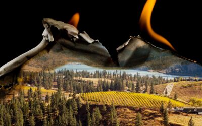The Okanagan Wine Region Is in Trouble—Can It Survive? BY KATE DINGWALL